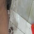Mídia de chokito_1785