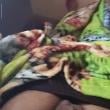 
Vontade louca de fuder
