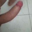 Mídia de comerdor_salgueiro2