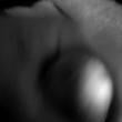 Mídia de corcel_5953