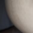 Mídia de coroadotado_1244