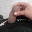 Mídia de curioso3165