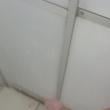 
Queria alguém pra mamar ! ...