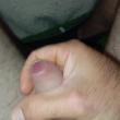 Mídia de dandycomedordecasada