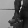 danzera546