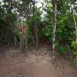 discretosigilo_2146
