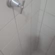 Mídia de donatelo99