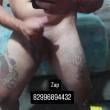 Mídia de dotado2540