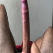 Mídia de dotadosafadocwb22cm