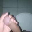 
CHAMA 🔥 SÃO BRÁS/ AL 
DISP...