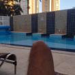 
Refrescar um pouquinho cal...