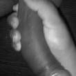 exibidos_1694