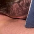 
Mamando gostoso a pica ros...