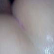 fevi81