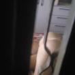 Mídia de ffpiloto