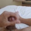 fiodental2024