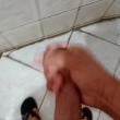 galo258