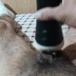 gardelao_55