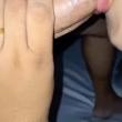 gata_6198