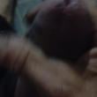 Mídia de gato8719