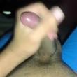 
Bom dia