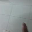 
Alguem querendo mamar