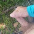
Punha no pasto.