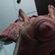 Mídia de ilha3939