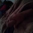 insolito25