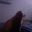 Mídia de intenso_2747