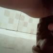 Mídia de jardel0918