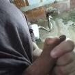 jcmaisgostoso