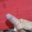 jlfortal85