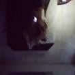 joey_1606