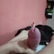 jos_3764
