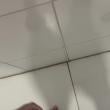 Mídia de josuebb1