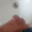 jp_213
