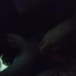 Mídia de k2ecasal