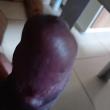 
Leite Acumulado fica com a...