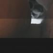 Mídia de ksal_conectado