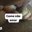 
O momento tão esperado, el...
