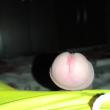 Mídia de laecio_8951