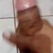 Mídia de landro251