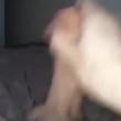 Mídia de lekbelem