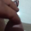 Mídia de lekebc16cm