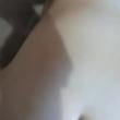 lilifogoza_3660