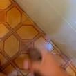 Mídia de lima_2965