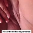 Mídia de lobo50experiente