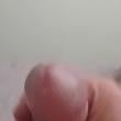 lobofaminto40