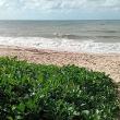 
Bom dia, alguém conhece es...